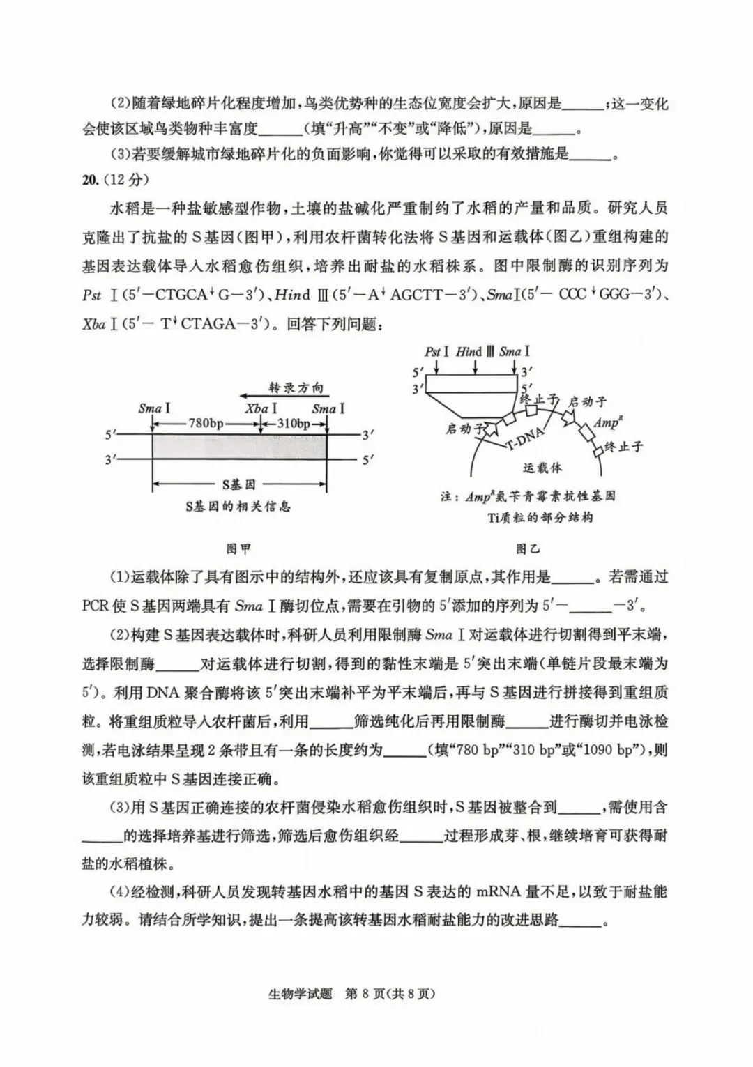 2026届成都三诊全科试卷及参考答案汇总! 第63张