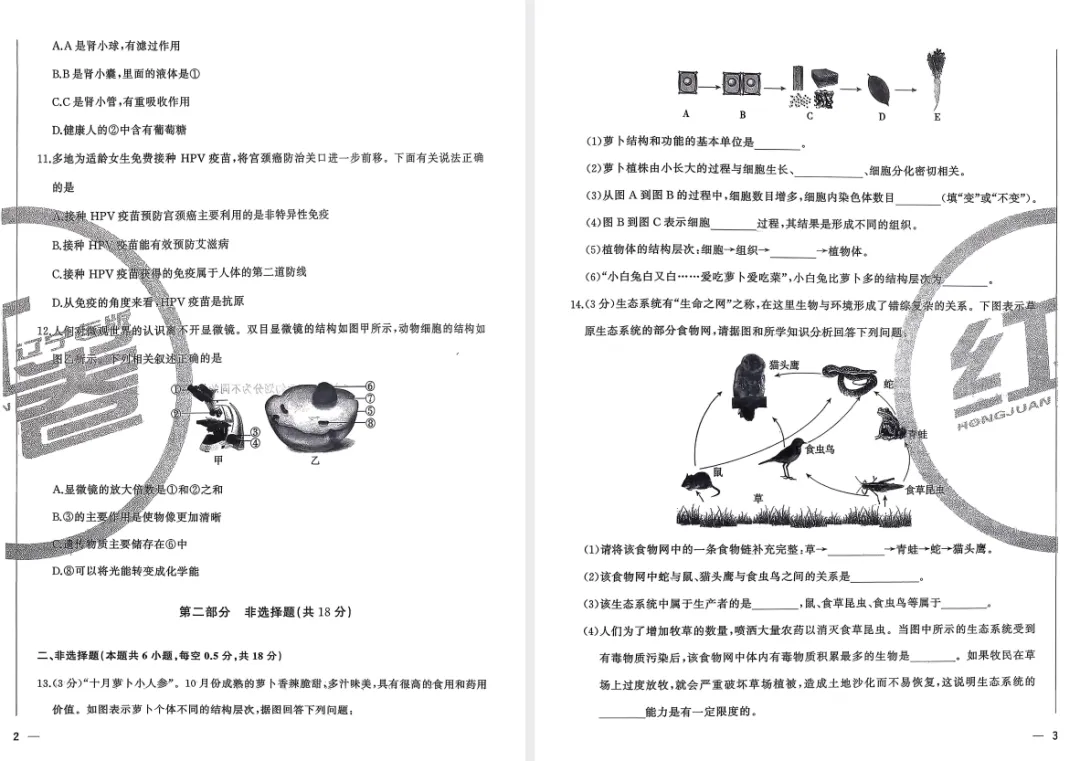 2026版初中《中考大赢家红卷》(9科全套)(辽宁专版) 第7张