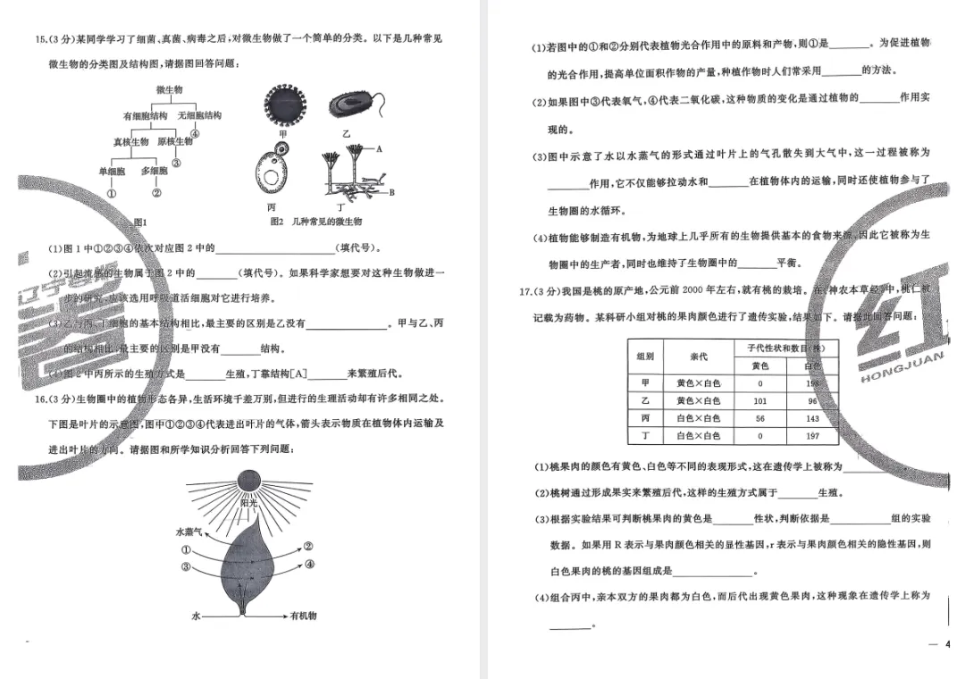 2026版初中《中考大赢家红卷》(9科全套)(辽宁专版) 第8张