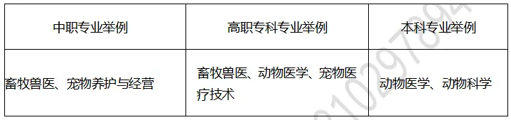 青岛中考2026:学畜牧养殖,做宠物医生 | 中考规划系列 第6张