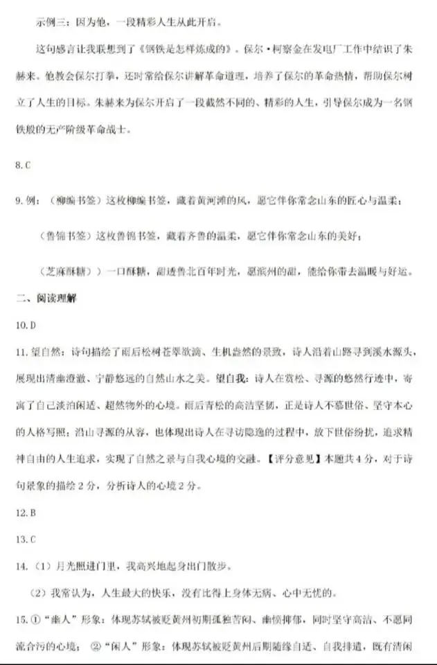 2026年五月份初中学业水平考试语文试卷HM 第15张