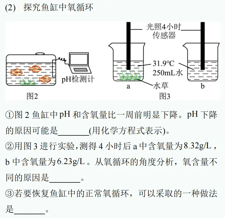 中考新题型练习49 第6张