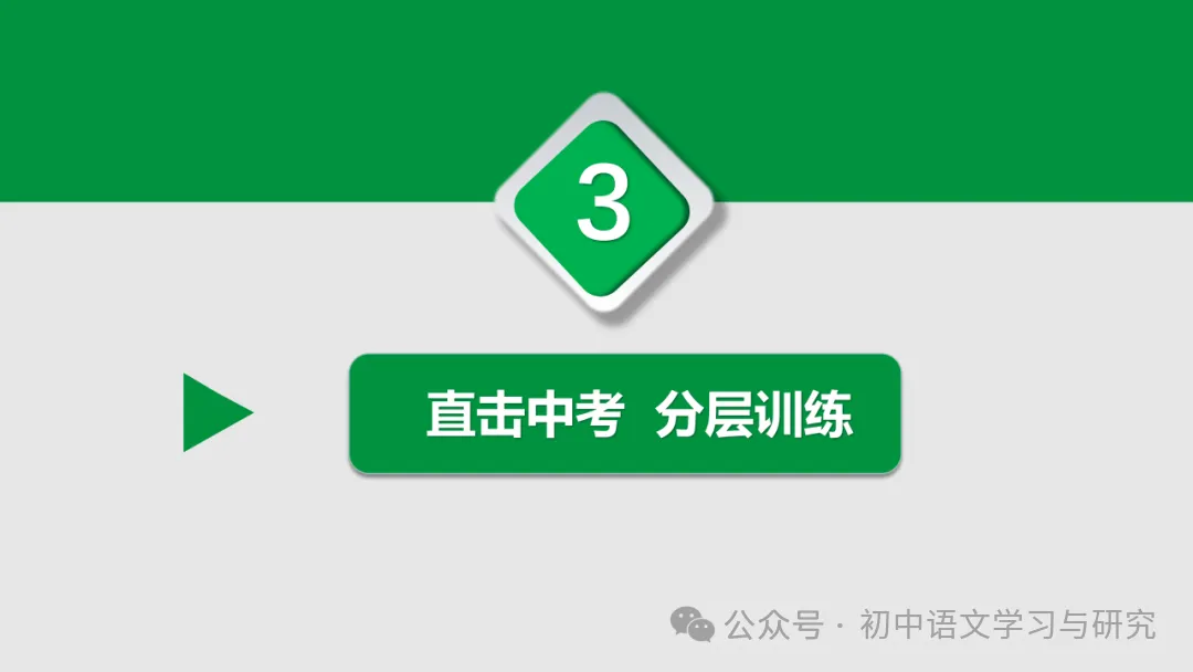 2026年中考专题复习:古诗词阅读技巧 ppt 第14张