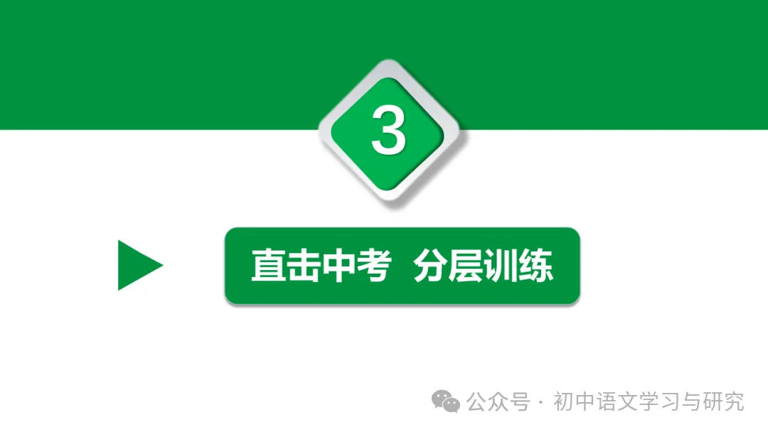 2026年中考专题复习:古诗词阅读技巧 ppt 第30张