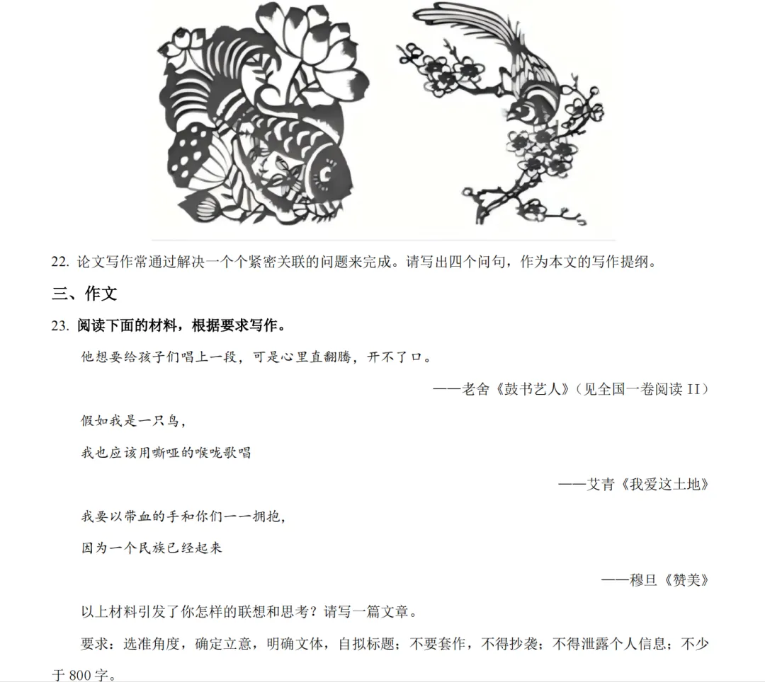 新高考一卷语文真题试卷及答案解析电子版PDF(2008-2025年) 第4张