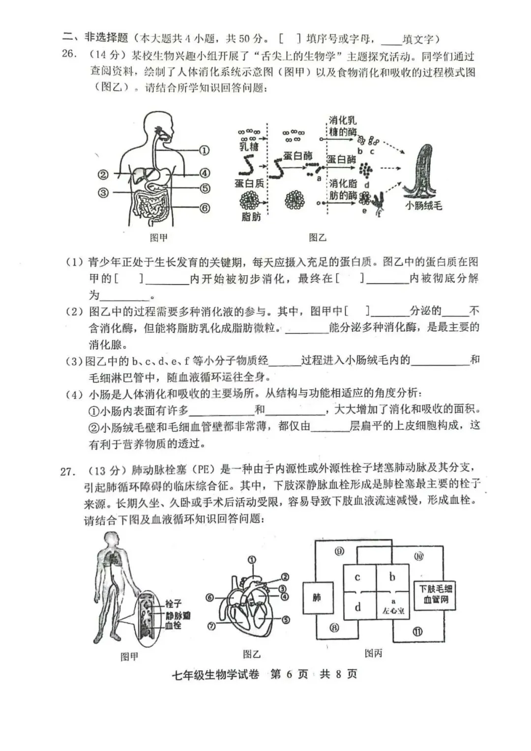 2026年唐山市路北区七下期中生物试卷 第6张