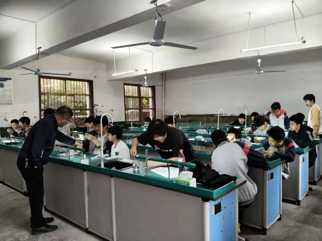 中考冲刺期,我给孩子们出了一道“温柔”的作文题:好想爱这个世界啊 第3张
