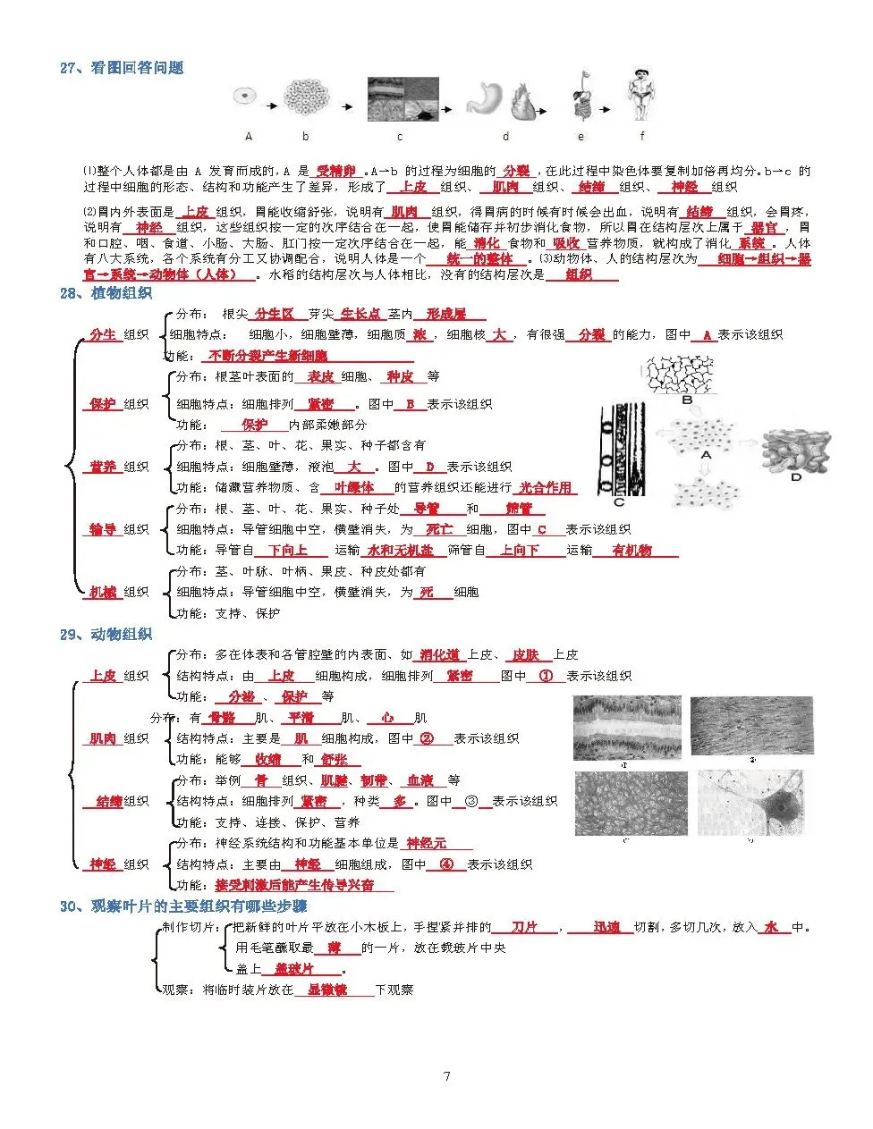 蛟川书院中考生物背诵 第7张