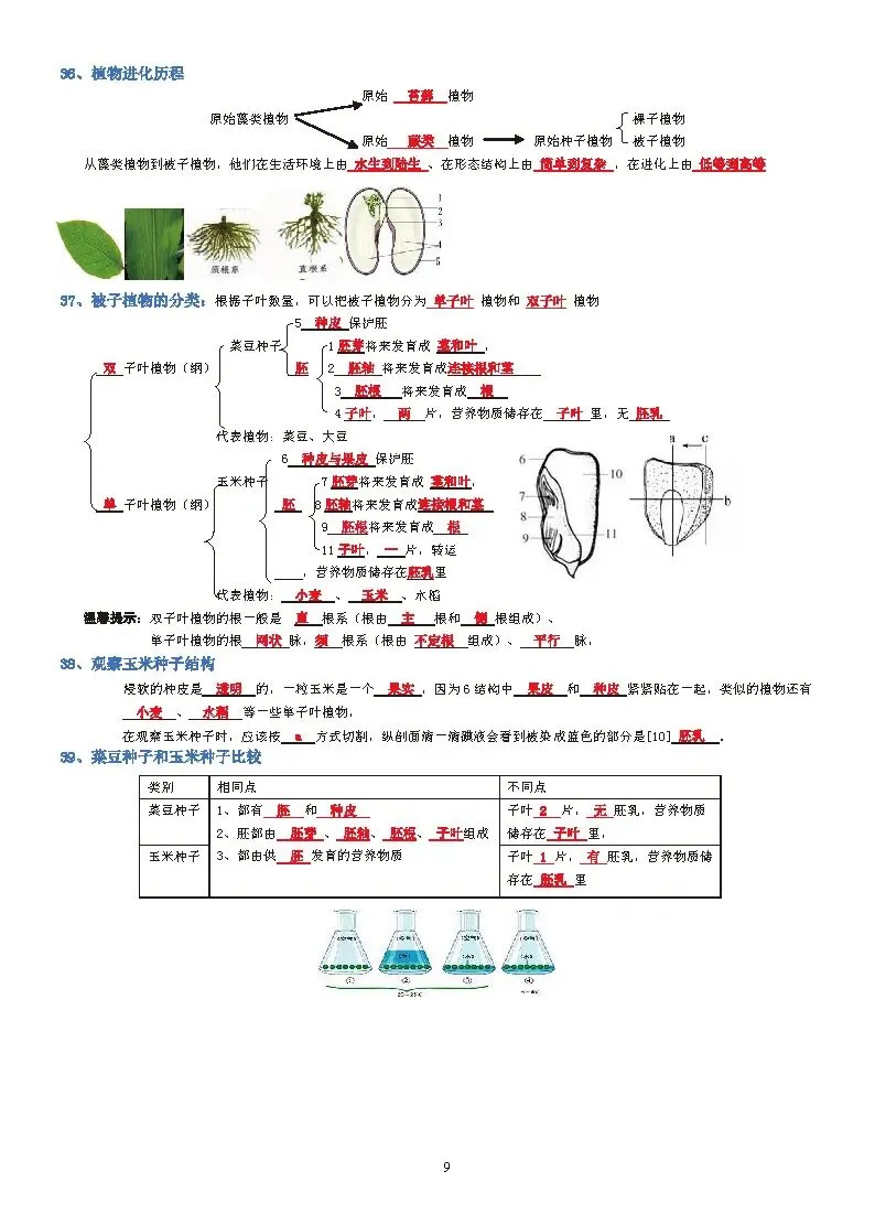 蛟川书院中考生物背诵 第9张