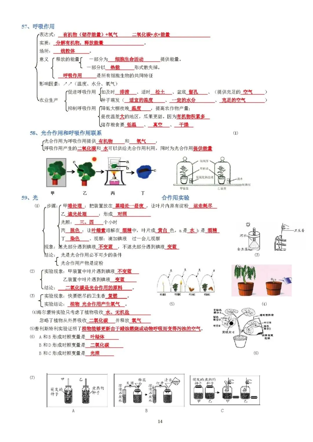 蛟川书院中考生物背诵 第14张