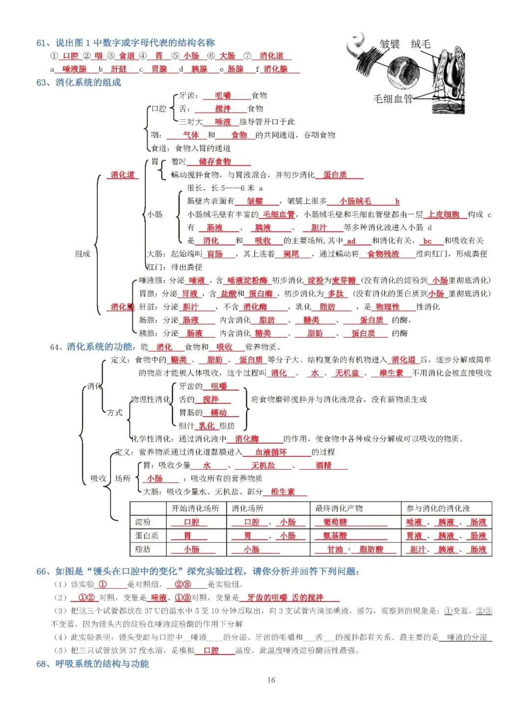 蛟川书院中考生物背诵 第16张