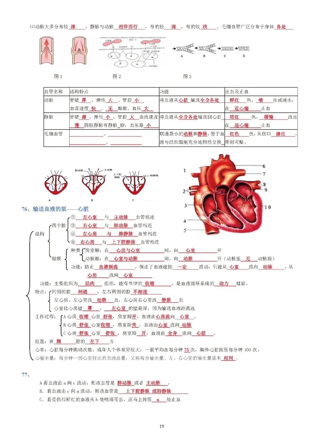 蛟川书院中考生物背诵 第19张