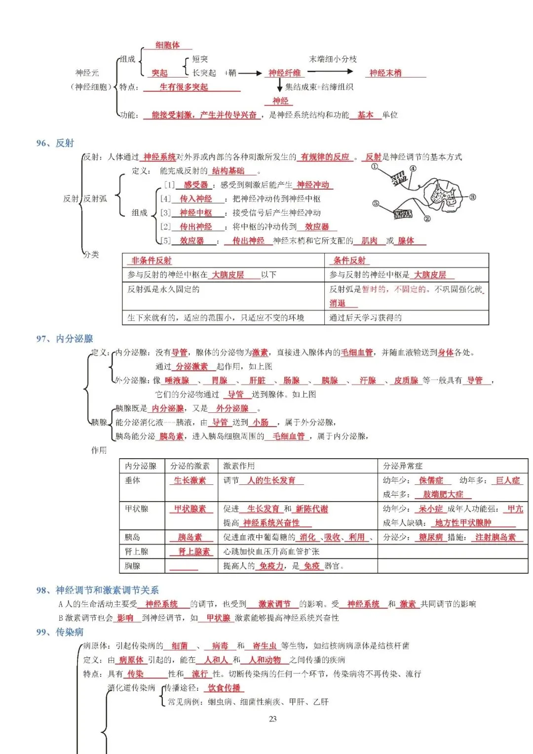 蛟川书院中考生物背诵 第23张