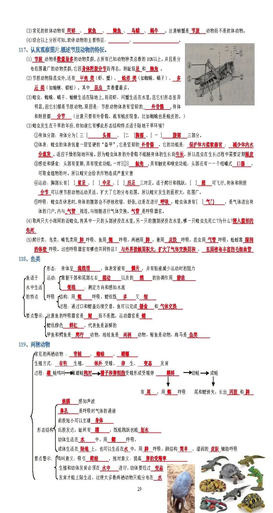 蛟川书院中考生物背诵 第29张
