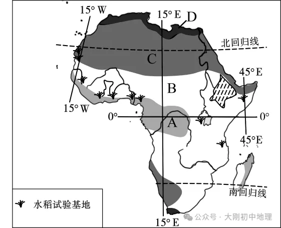 中考专训:七年级下册易错选择60题 第11张