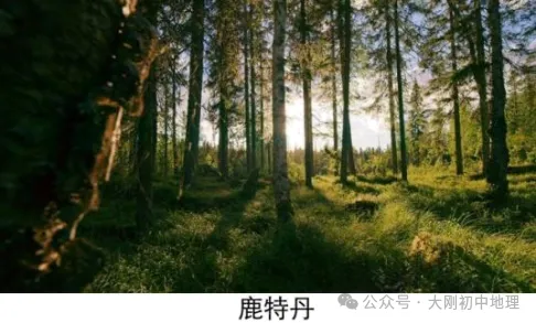 中考专训:七年级下册易错选择60题 第25张
