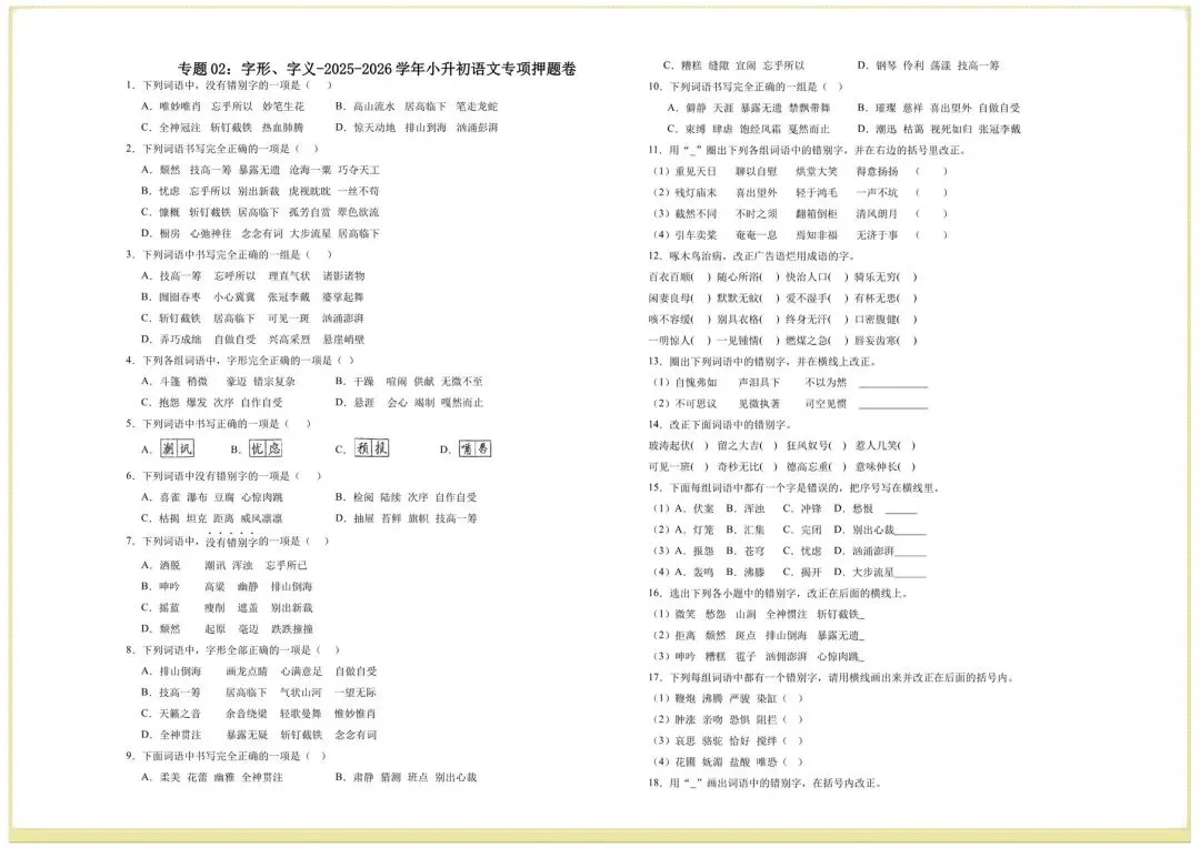 2026年小升初语文测试卷押题真题卷(字音、字形、字义),完整电子版可打印 第5张