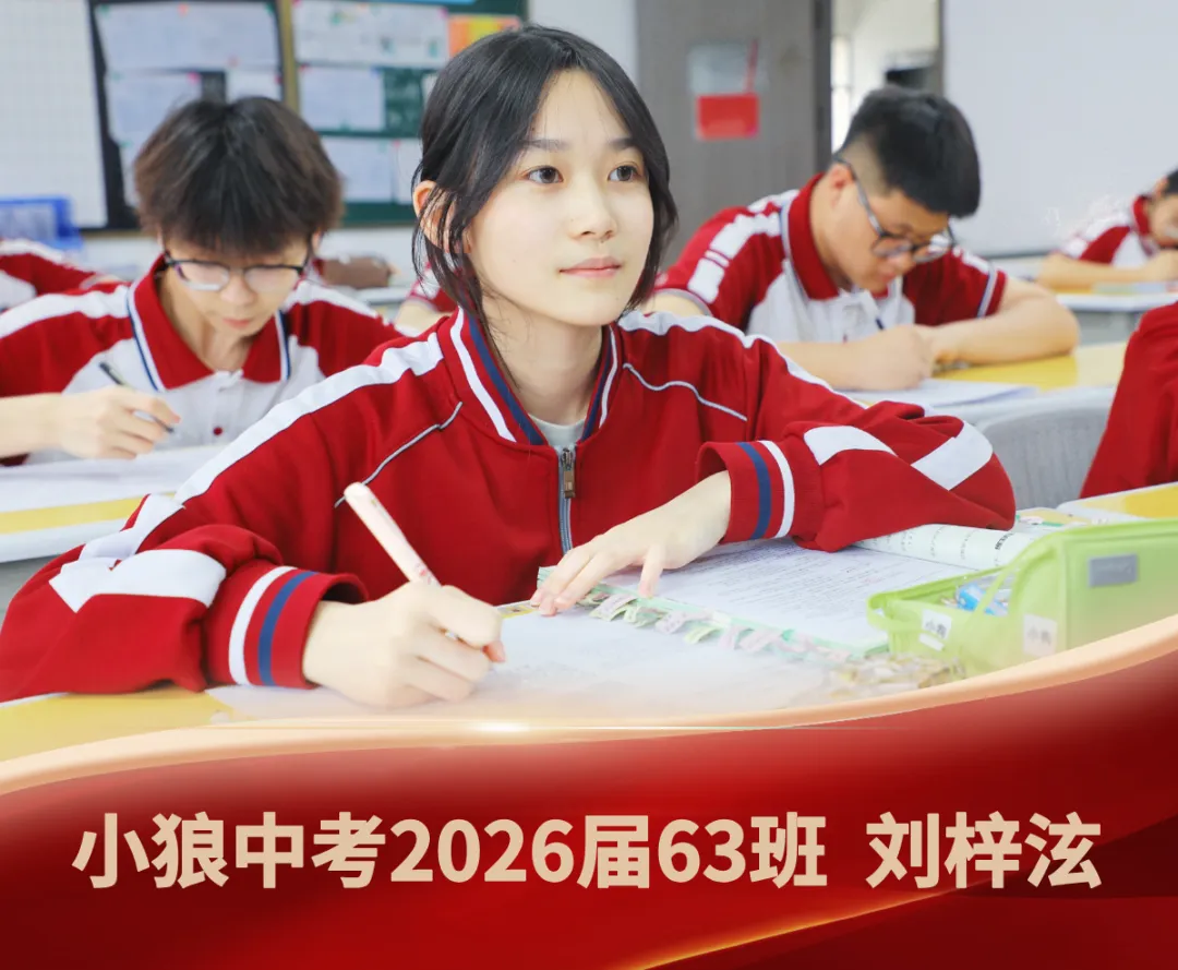 中考作文高分开头怎么写? 教你三个万能模板(附小狼优秀学生范文) 第9张
