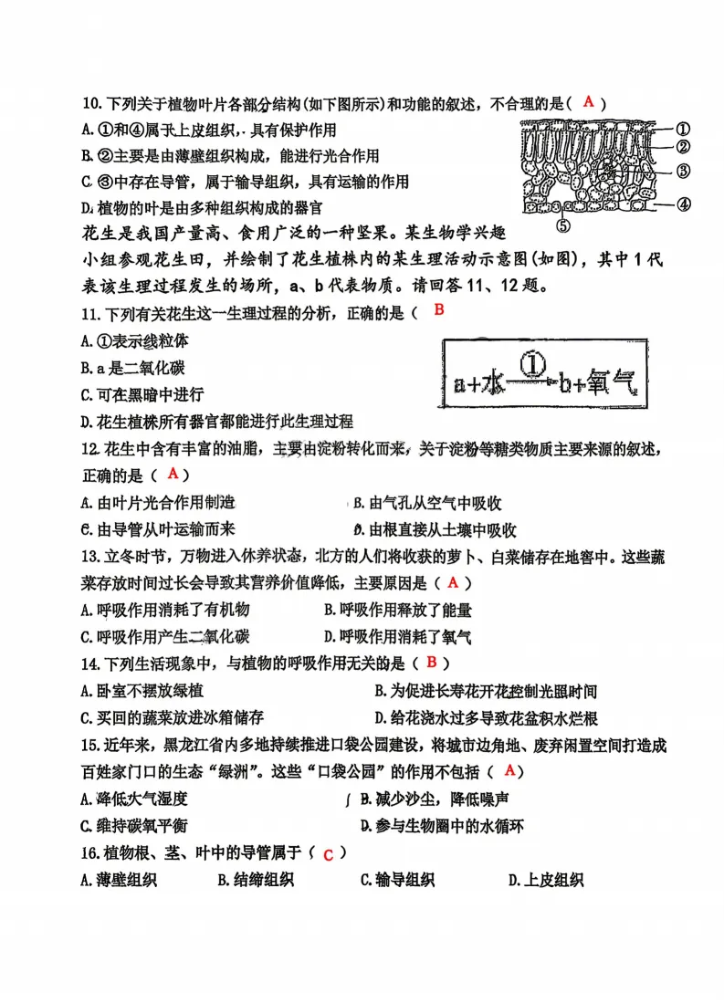2026工附中学七年级下生物期中考试 试卷+答案 第9张