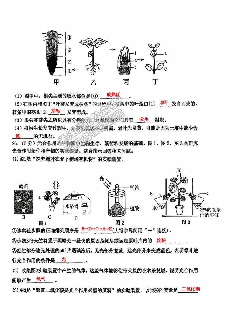 2026工附中学七年级下生物期中考试 试卷+答案 第11张