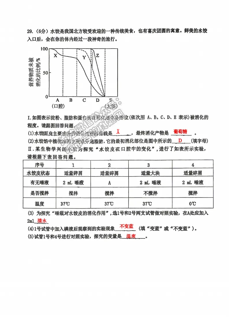 2026工附中学七年级下生物期中考试 试卷+答案 第13张