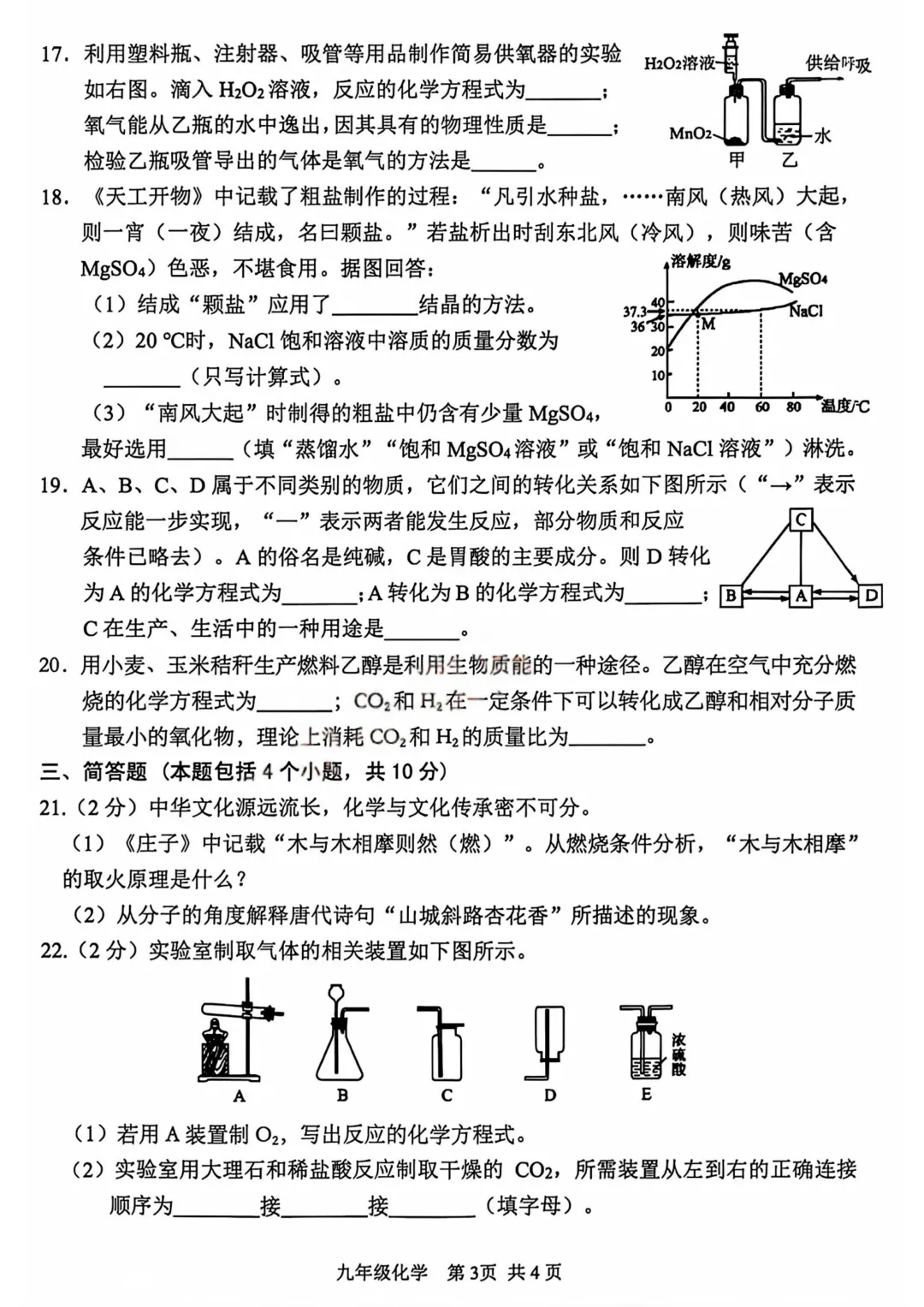 2026年安阳市中考一模(7科全)试卷及答案 第43张