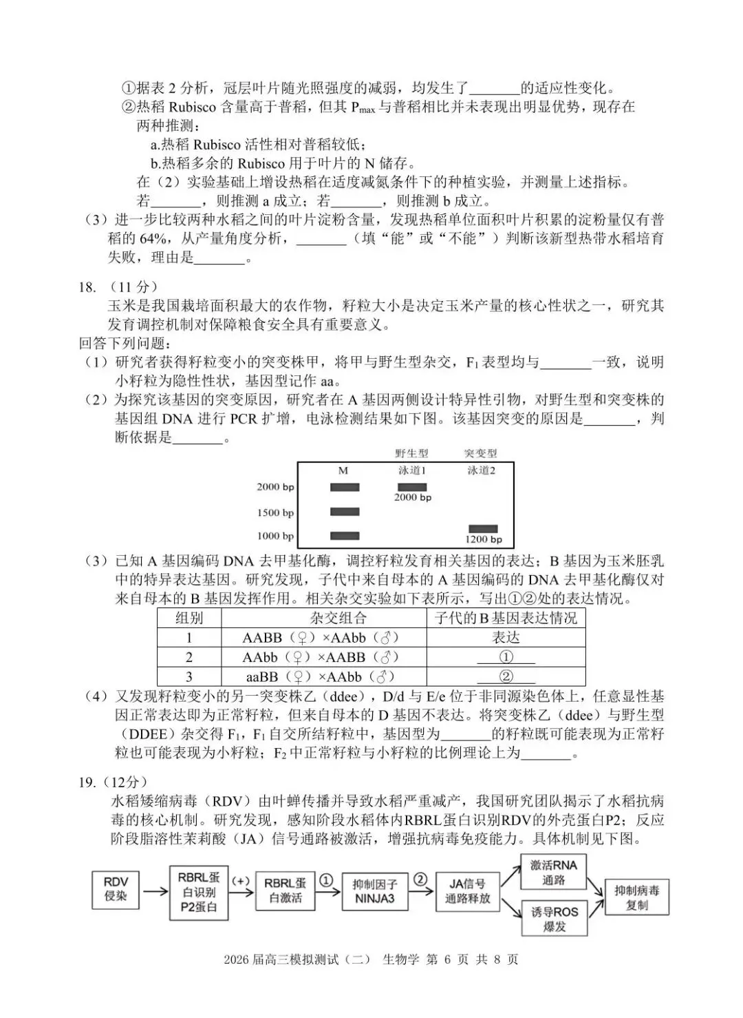【高三生物】广东大湾区2026届高三模拟测试(大湾区二模)生物试卷+答案 第6张