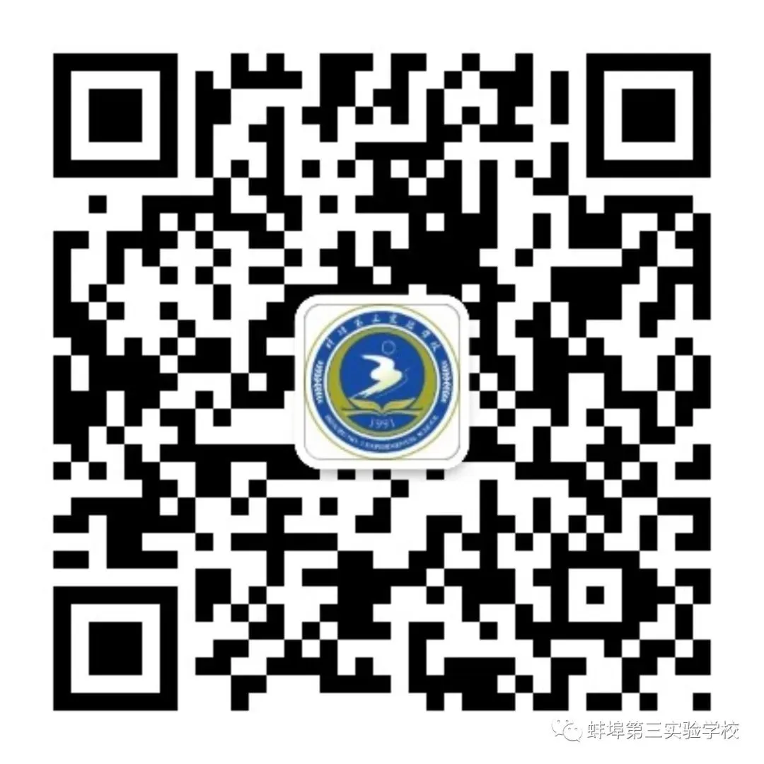 家校聚力备战中考,同心护航逐梦前行——蚌埠第三实验学校召开九年级家长会 第35张