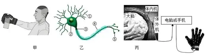 2026中考生物热点训练:AI与生物科技 第2张