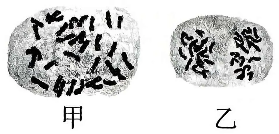 【高考真题】2025年江苏卷生物试题 第5张