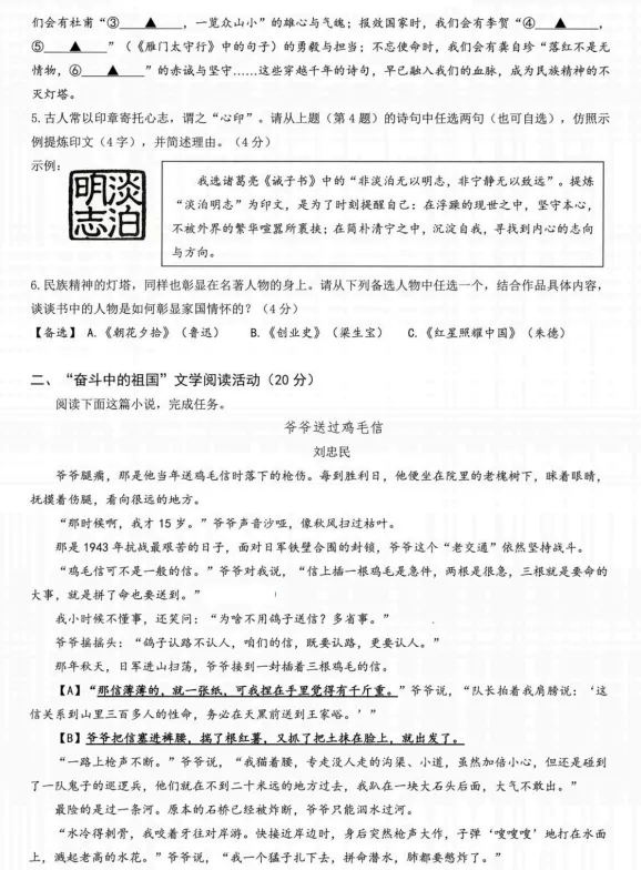 杭州临安市九年级中考语文一模卷 第3张