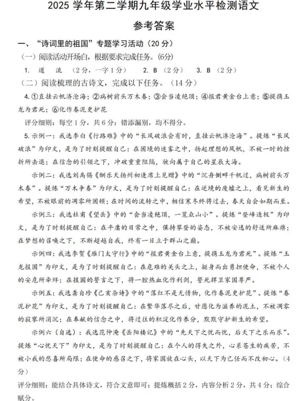 杭州临安市九年级中考语文一模卷参考答案 第1张