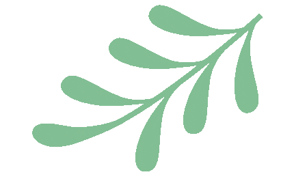 以测促研精教学 以思聚力迎中考 第7张