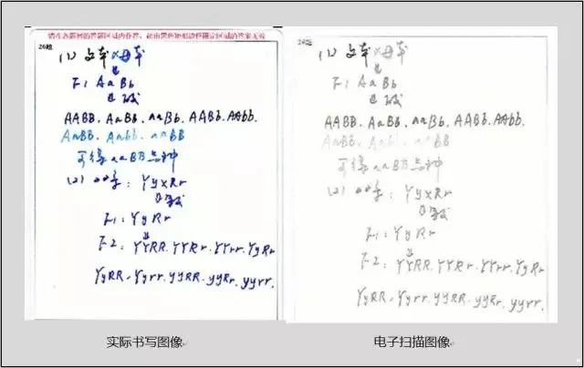 2026中考必读 | 中考电脑阅卷流程“潜规则”!读完孩子少丢20分!(转给生) 第9张