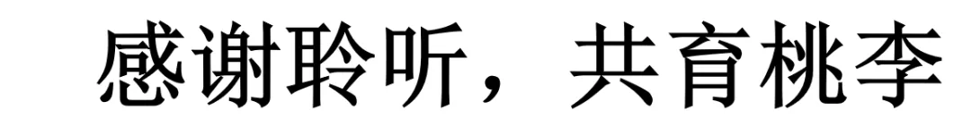 讲座|中考数学备考与尖子生培养考前50天:从“刷题”到“悟道”,尖子生这样培养!---聆听有感附课件 第17张