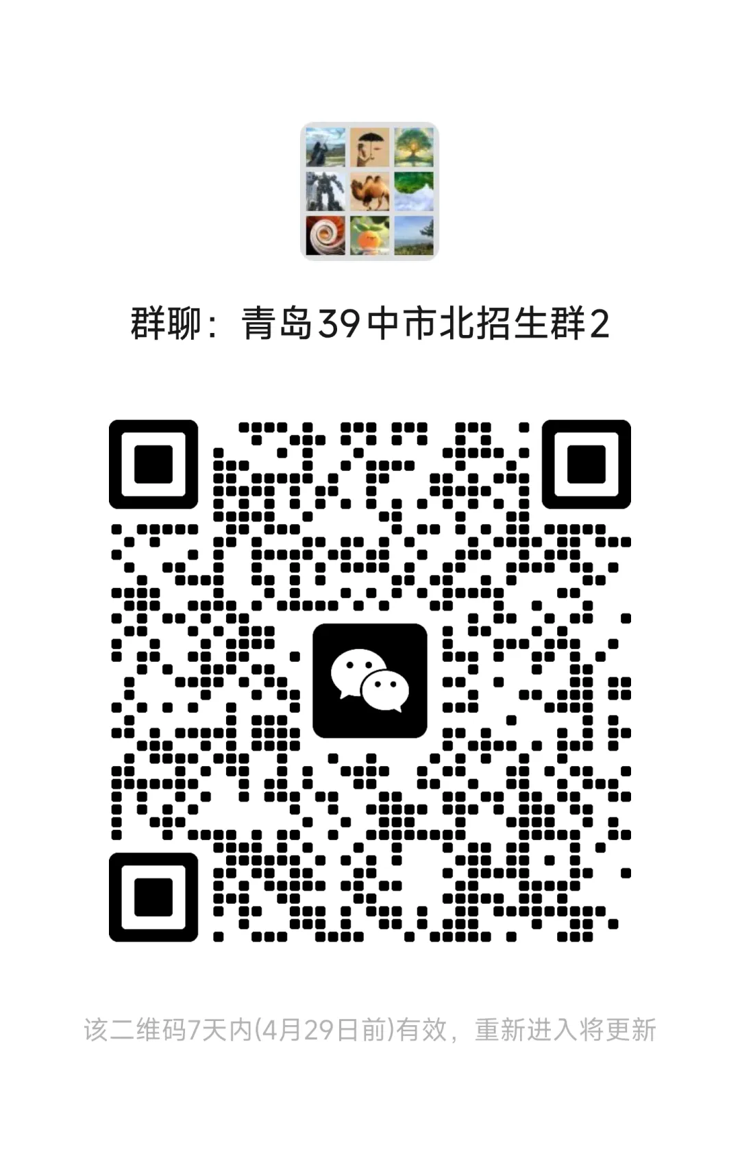 中考报考|青岛三十九中(海大附中)2026年高中艺术班招生简章 第4张