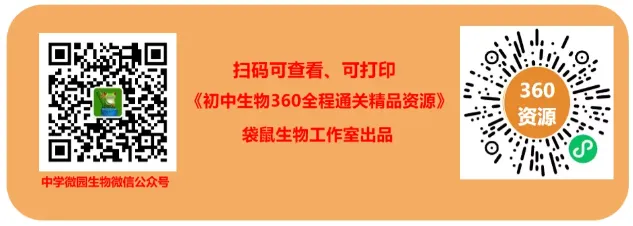 60 天吃透生物!中考核心考点读背清单 + 每日打卡,轻松逆袭提分 第14张