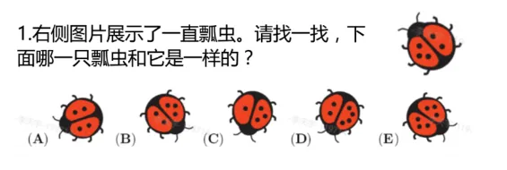 2026年袋鼠数学LevelA-B真题领取免费领取!1-4年级学生不能错过~ 第1张