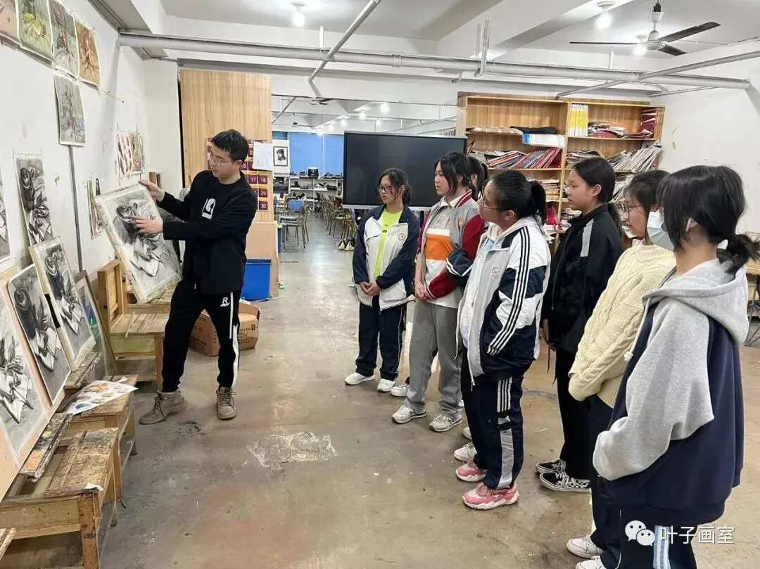叶子画室 I 中考高中美术特招特训简章 第8张