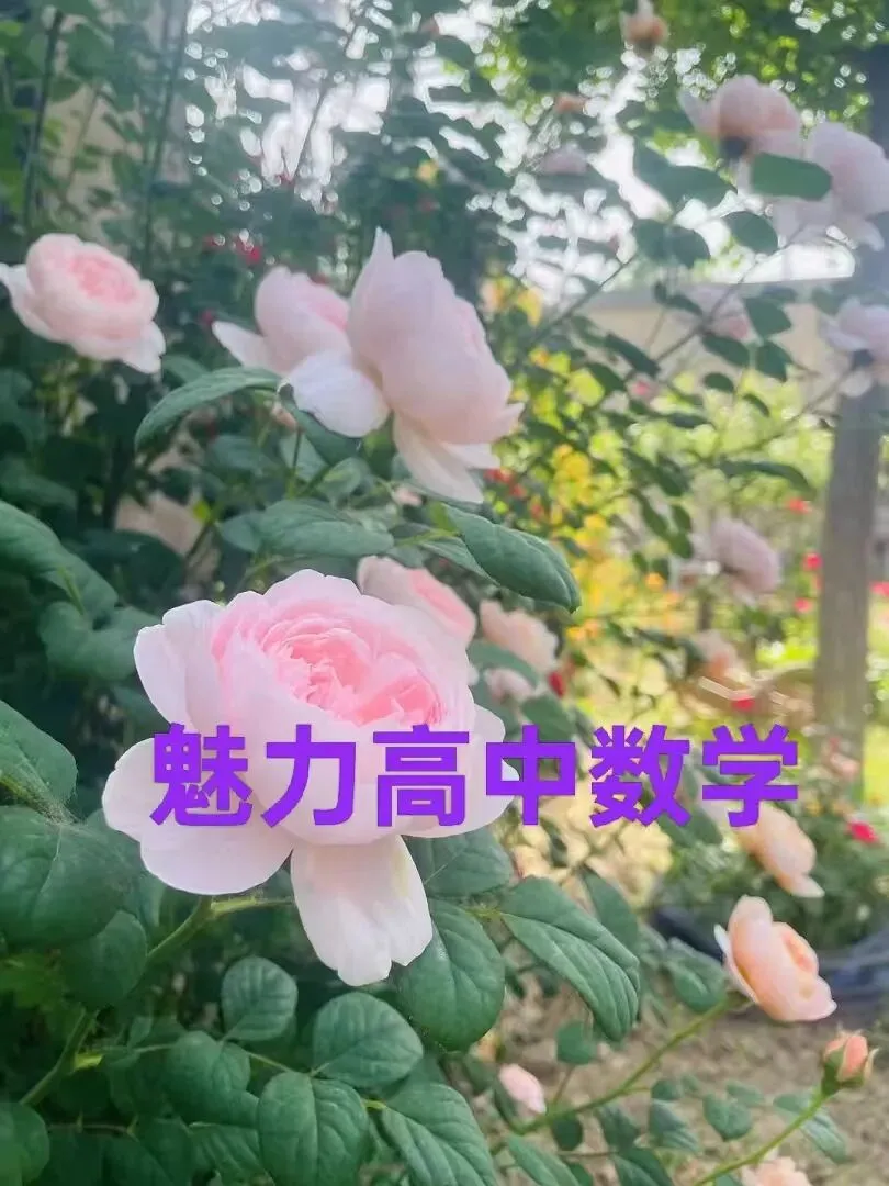 强化训练试卷一(适合高二高三学生使用)及答案 第12张