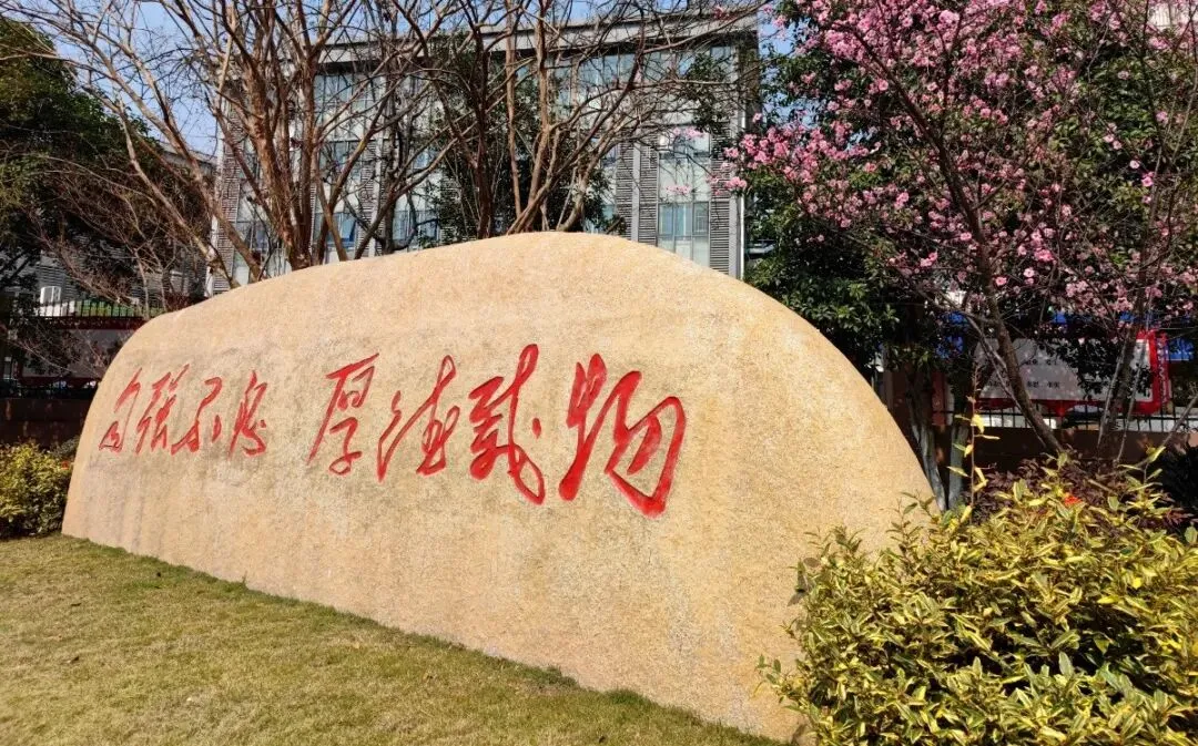 中考500分左右,高考冲上600+!杭州这所高中有大批中等生逆风翻盘! 第12张