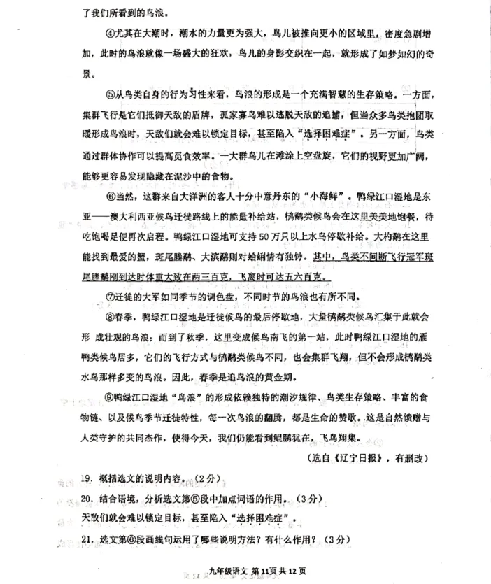 2026年4月阜新九年一模试卷+部分答案 第11张