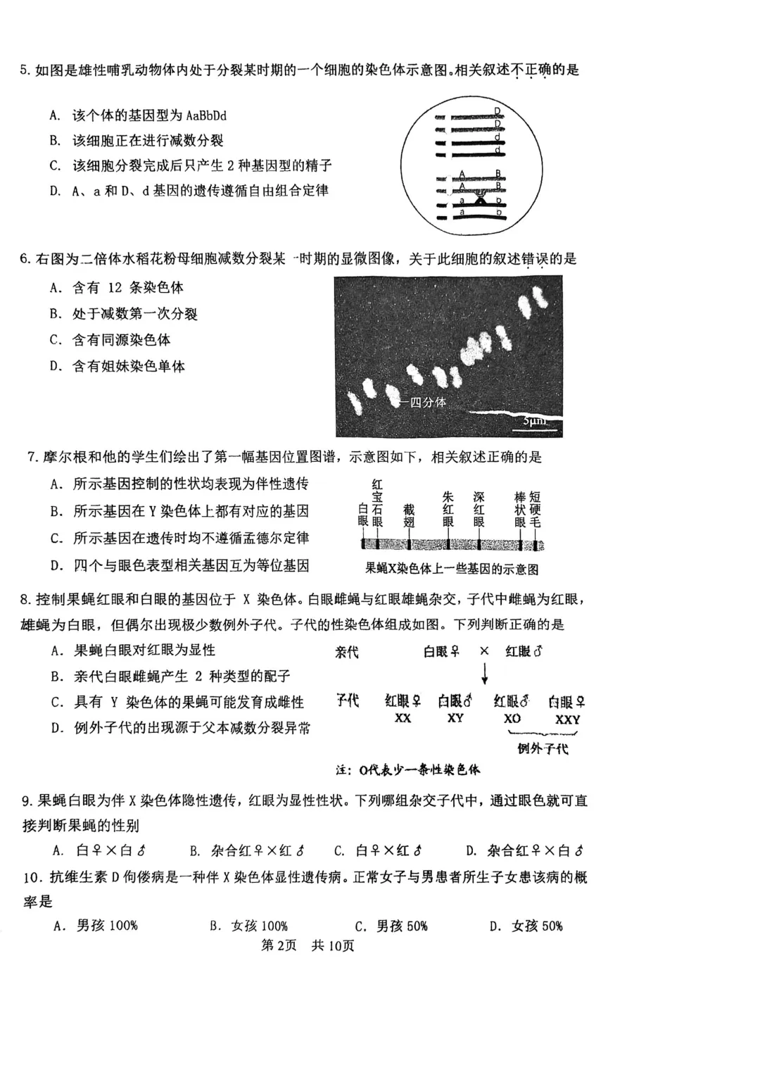 【名校好题】高一期中下生物试卷 第2张