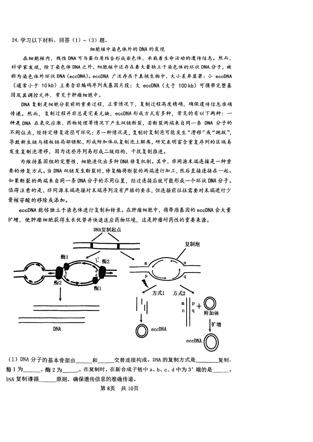 【名校好题】高一期中下生物试卷 第8张