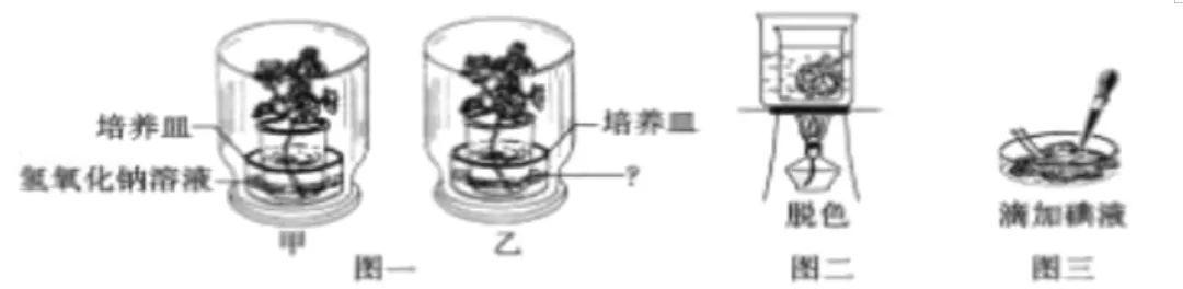 中考科学(浙江)二轮复习冲刺练(9)——绿色植物的新陈代谢 第4张