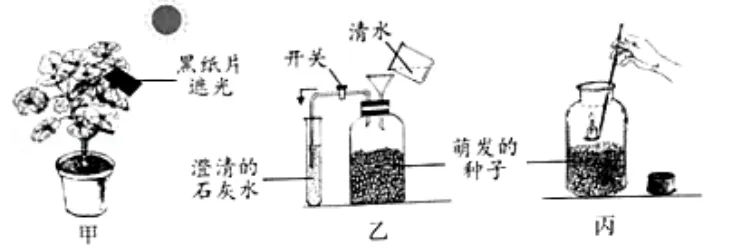 中考科学(浙江)二轮复习冲刺练(9)——绿色植物的新陈代谢 第5张