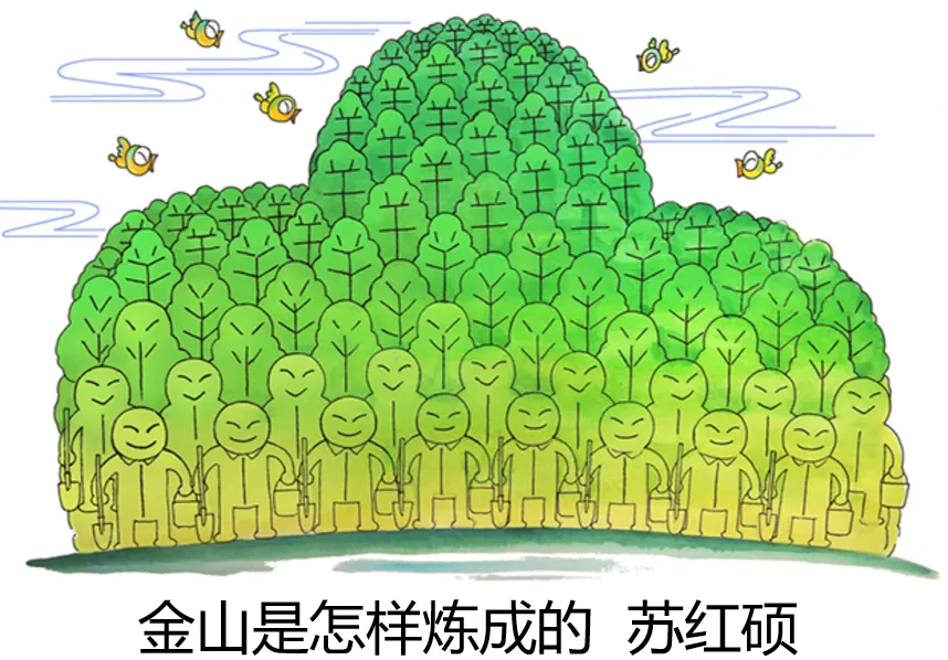 中考备考|2025年全国道德与法治中考真题汇编|专题五处理好与国家的关系(5) 国家建设之生态文明建设 第1张