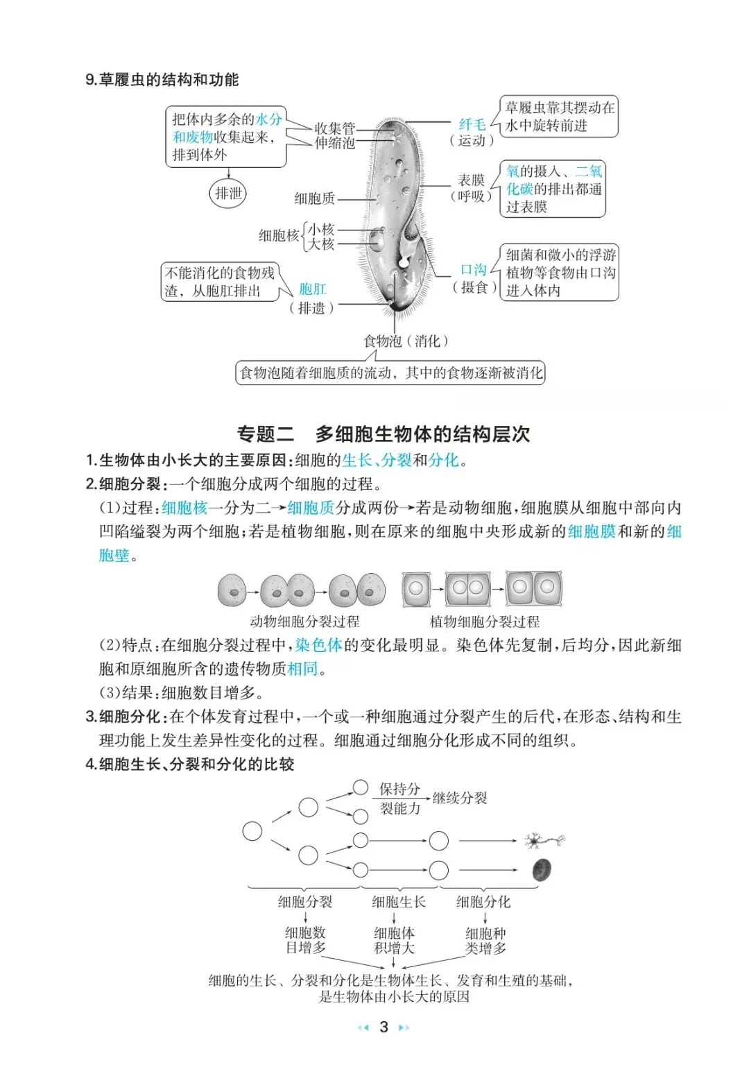 中考生物复习 | 考前重要知识点总结 第3张