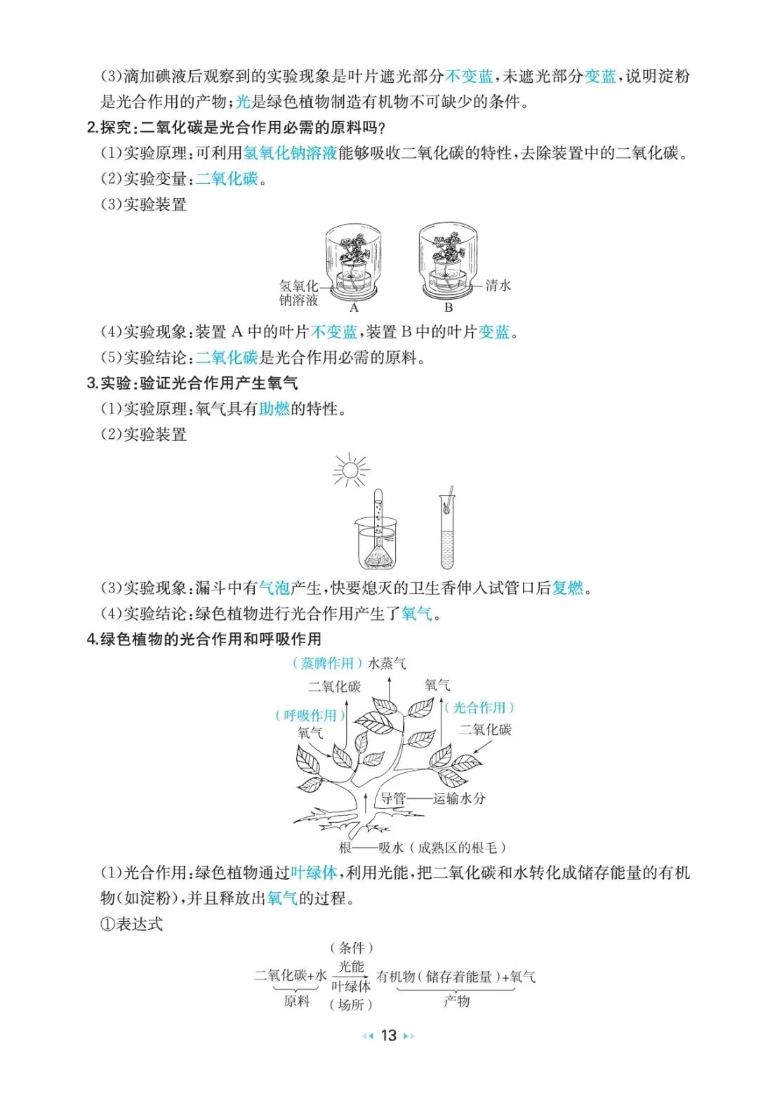 中考生物复习 | 考前重要知识点总结 第12张