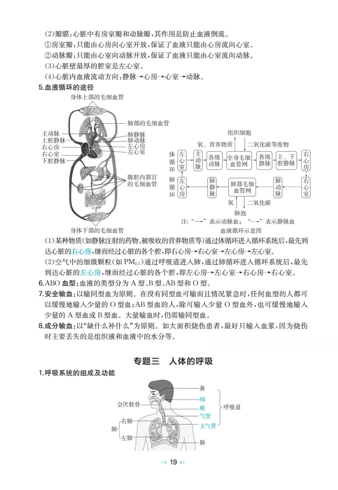 中考生物复习 | 考前重要知识点总结 第17张